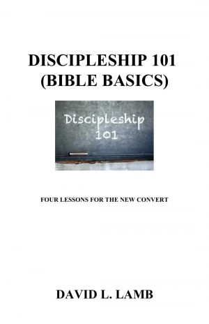 Discipleship 101 – Bible Basics